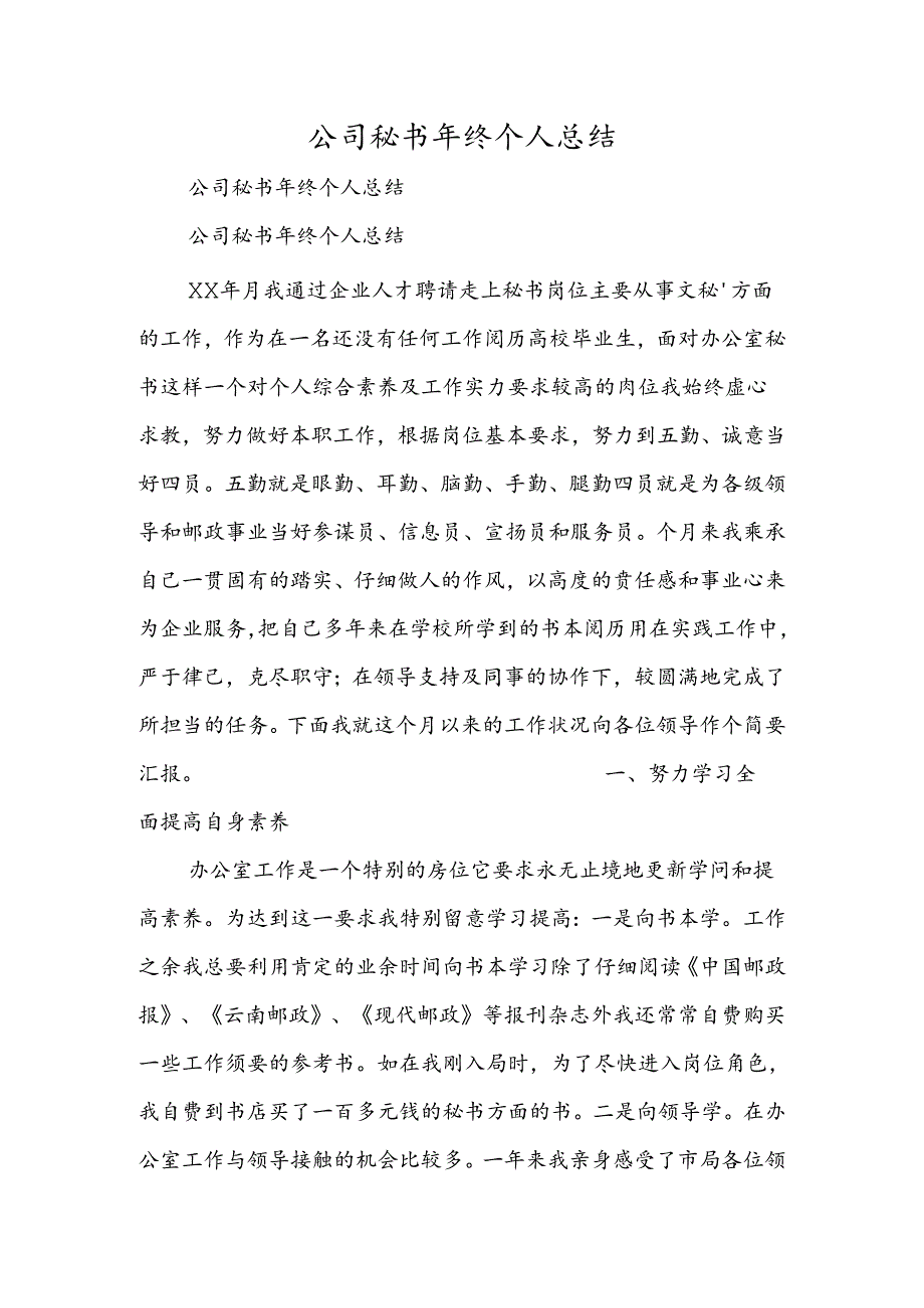 公司秘书年终个人总结.docx_第1页