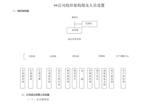 公司组织架构图.docx