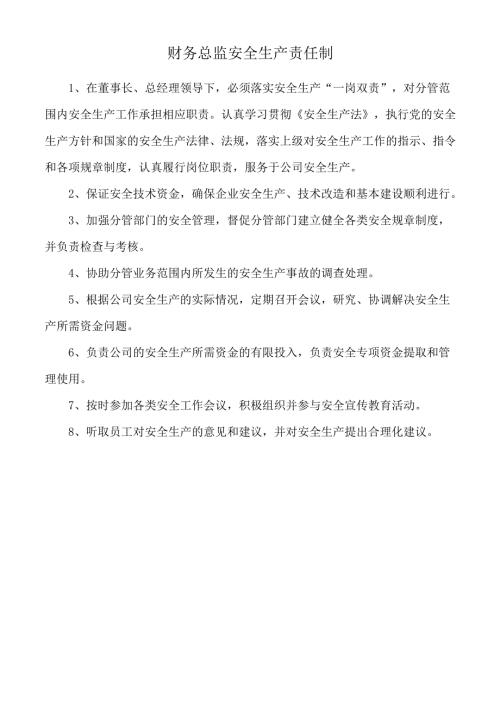 财务总监安全生产责任制.docx