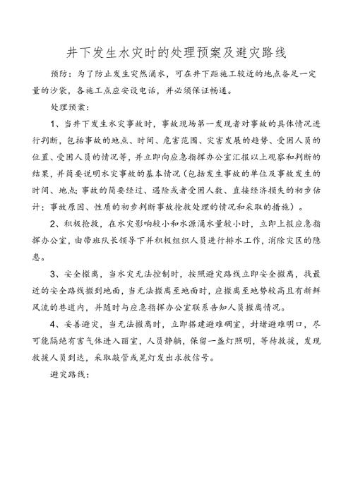 井下发生水灾时的处理预案及避灾路线.docx