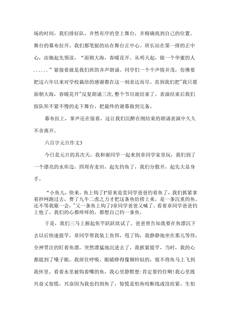 六百字元旦作文范文.docx_第3页