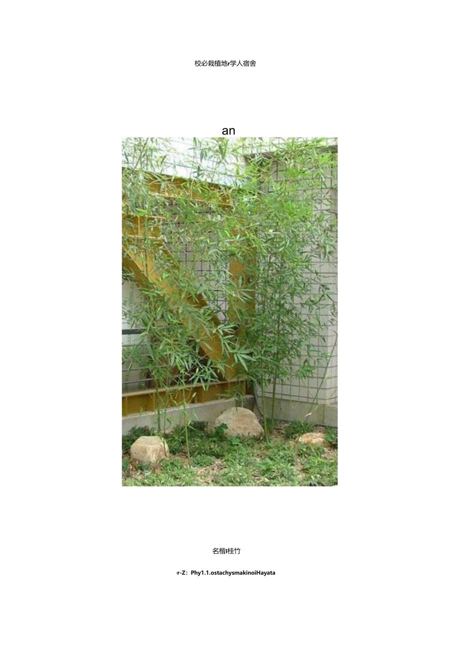 常见景观植物大全75619.docx_第3页