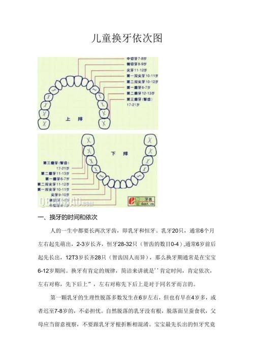 儿童换牙顺序图.docx