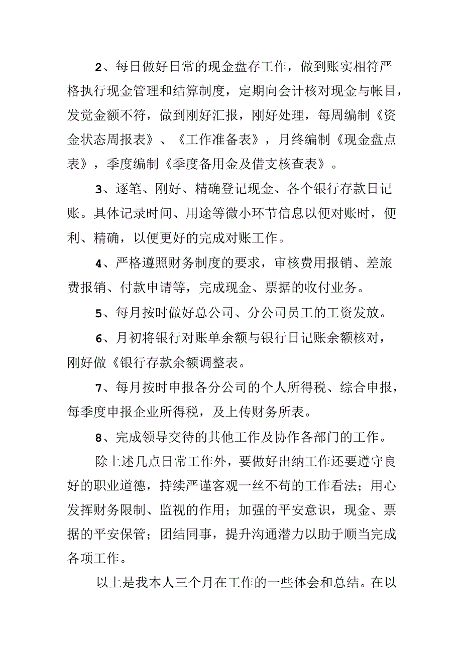 出纳试用期述职报告.docx_第3页