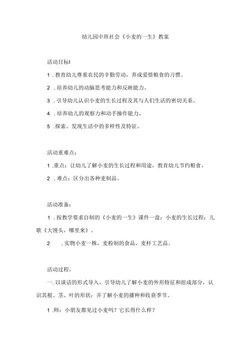幼儿园中班社会《小麦的一生》教案.docx