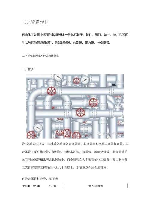 工艺管道知识.docx