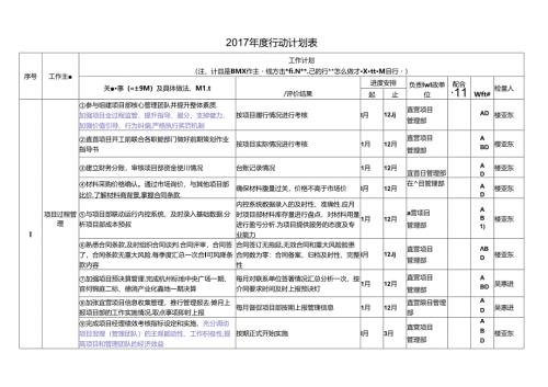 2017年直营项目管理部行动计划.docx