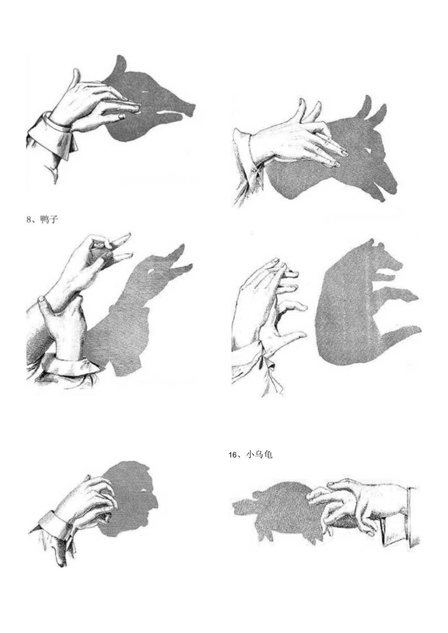 儿童手影(简易打印版).docx_第3页