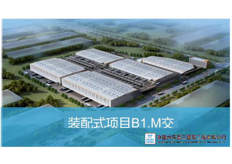 装配式项目BIM交流.docx_第1页