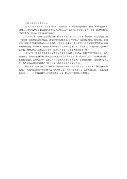 学校《巡视利剑》观后感.docx