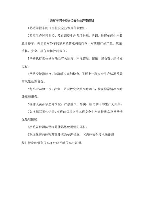 选矿车间中控岗位安全生产责任制.docx