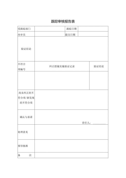 跟踪审核报告表.docx