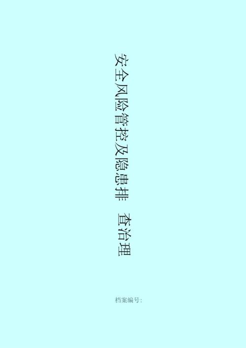 安全风险管控及隐患排查治理.docx