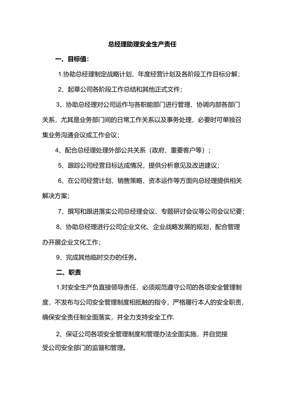 总经理助理安全生产责任.docx_第1页