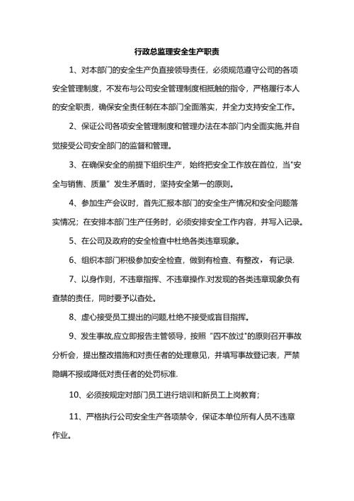 行政总监理安全生产职责.docx