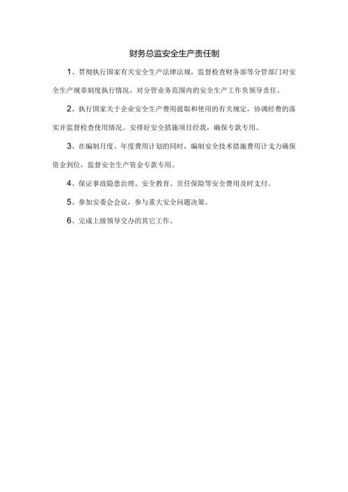 财务总监安全生产责任制.docx