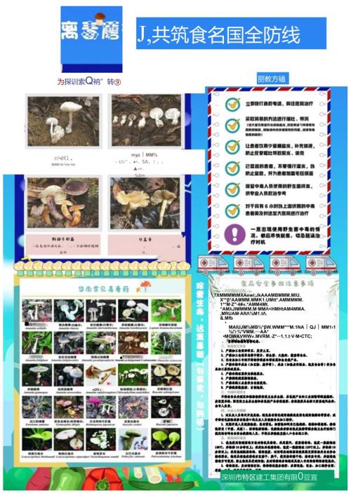 毒蘑菇宣传海报.docx