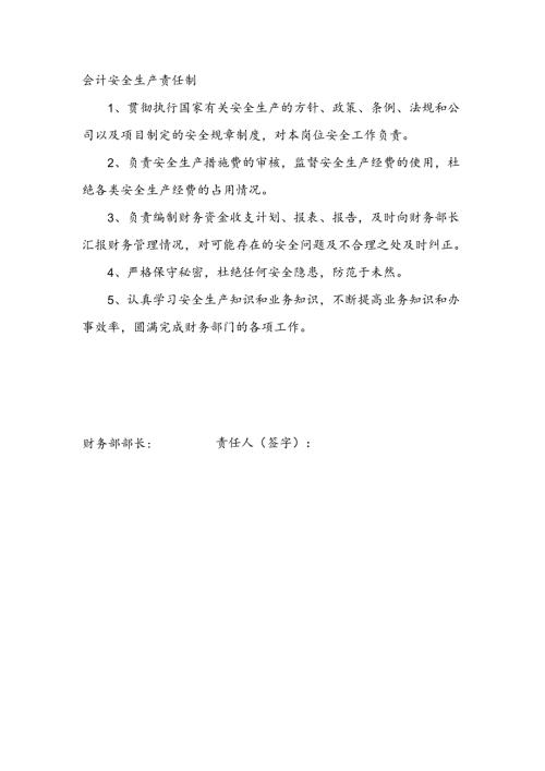 安全生产责任制（会计）.docx