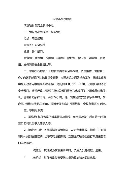 应急小组及职责.docx