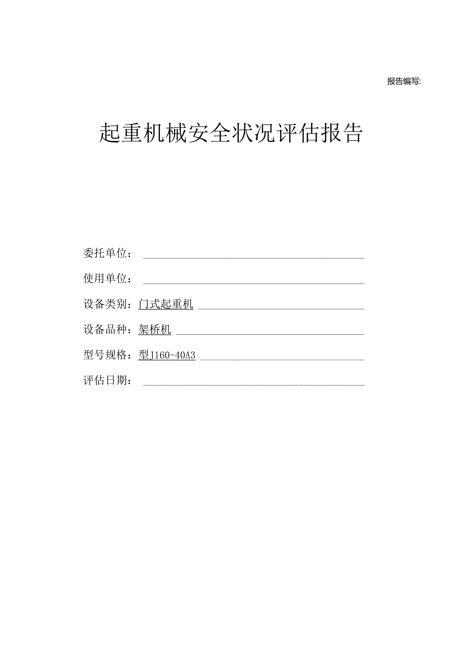 起重机械安全评估报告模板.docx_第1页