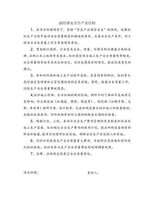 安全生产责任制（副经理）.docx