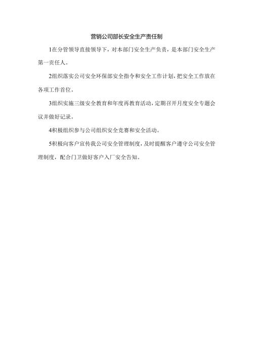 营销公司部长安全生产责任制.docx