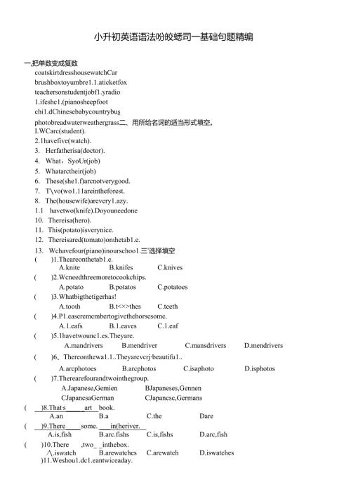 小升初名词、冠词、代词练习.docx