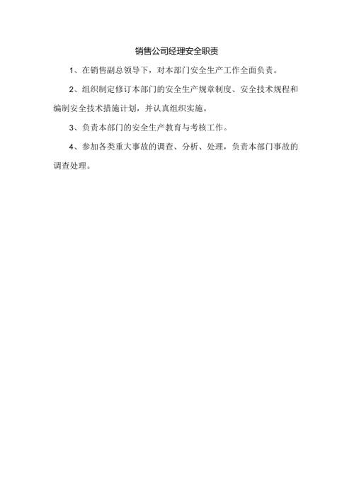 销售公司经理安全职责.docx