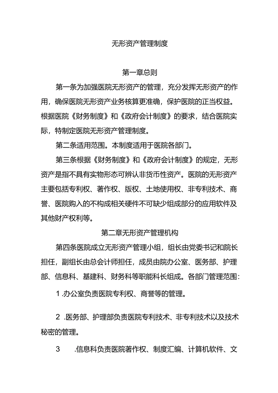 无形资产管理制度.docx_第1页