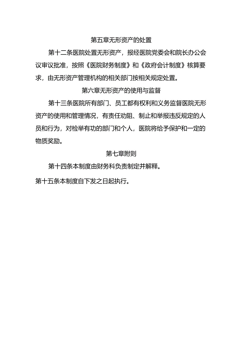 无形资产管理制度.docx_第3页