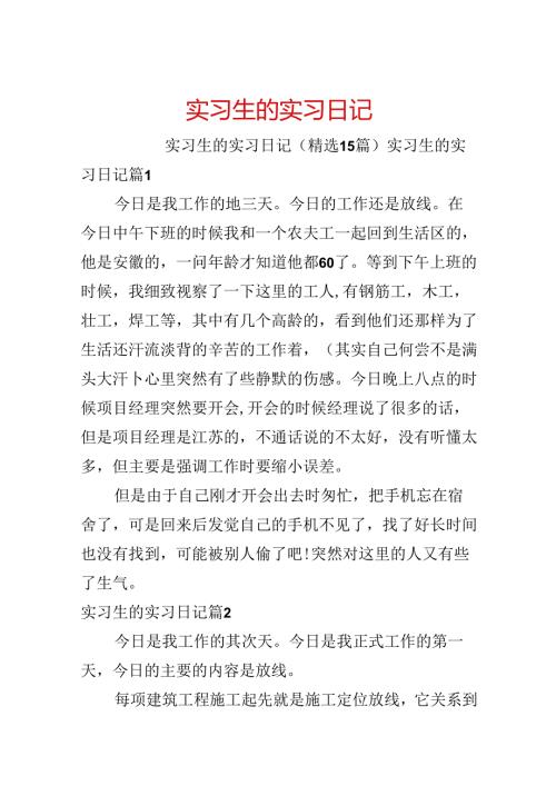 实习生的实习日记.docx