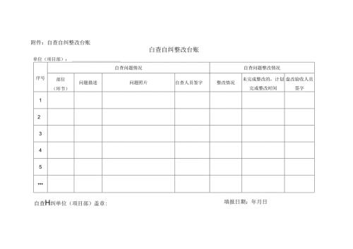 自查自纠整改台账.docx