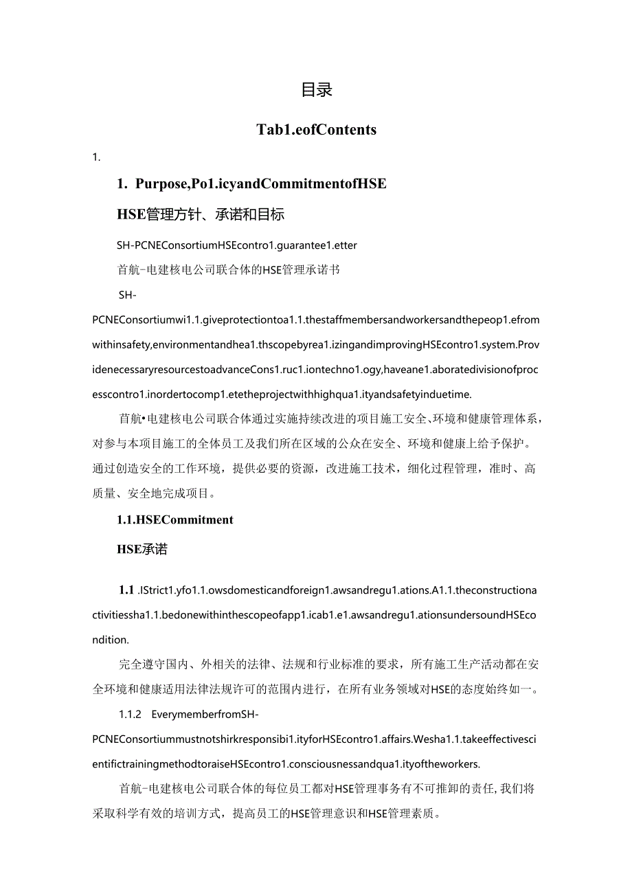 项目HSE计划（调整后）.docx_第1页
