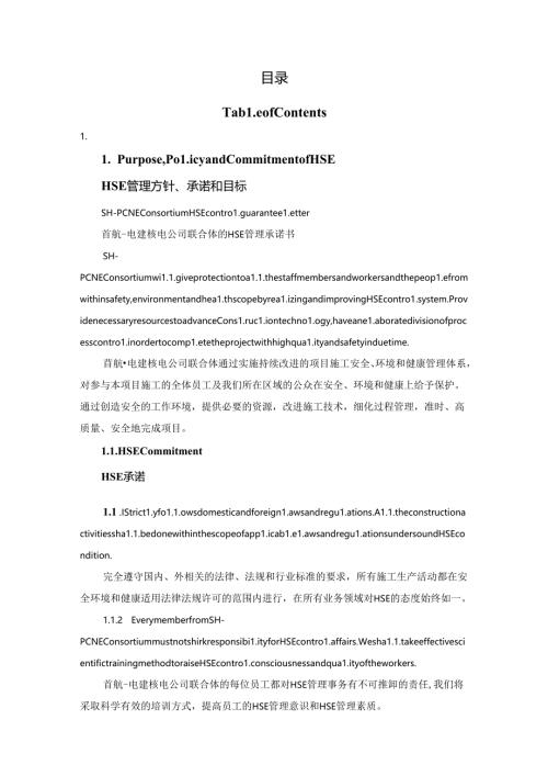 项目HSE计划（调整后）.docx
