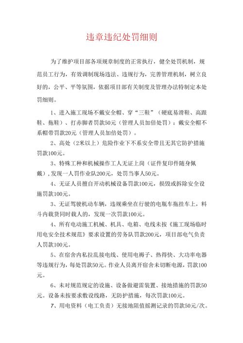 违章违纪处罚细则.docx