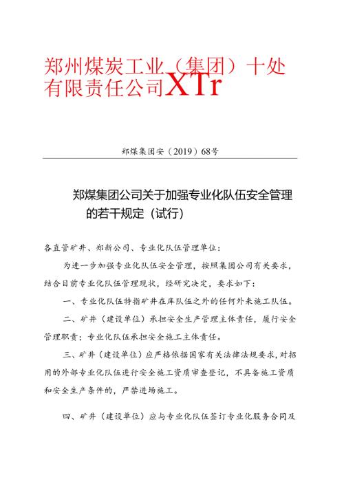 郑煤集团公司关于加强专业化队伍安全管理的若干规定（试行）.docx