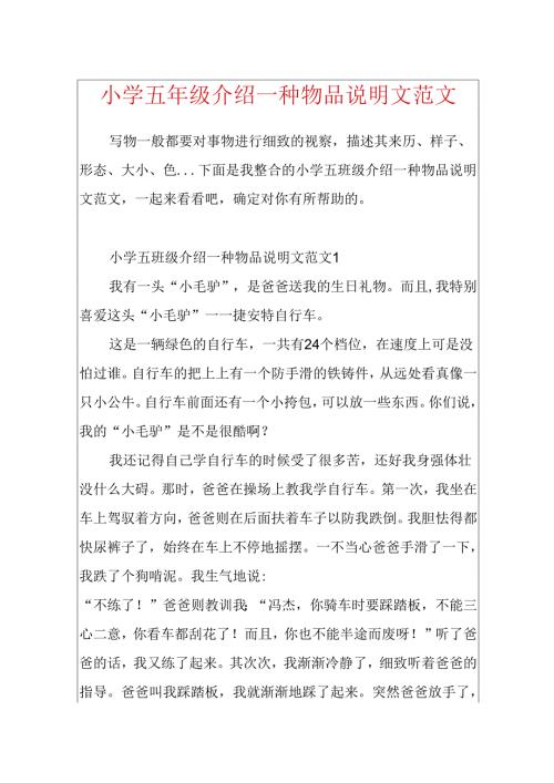 小学五年级介绍一种物品说明文范文.docx