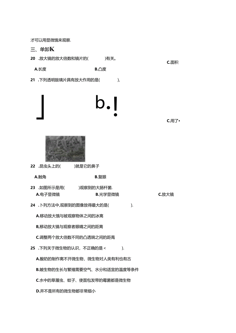 教科版小学科学六年级上册试卷含答案（5份）.docx_第2页