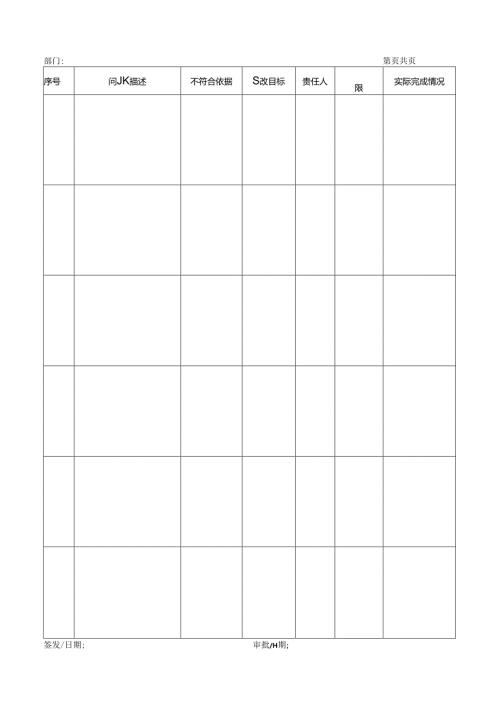 过程审核问题汇总表模板.docx