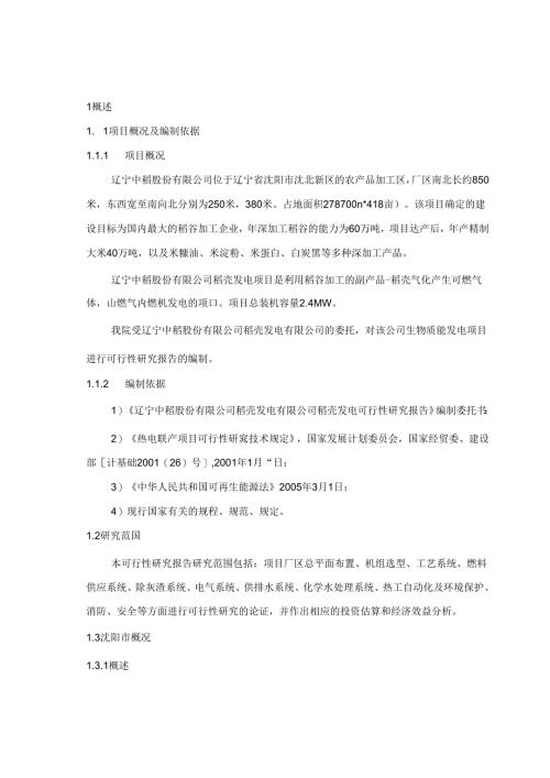 稻壳发电可研报告.docx