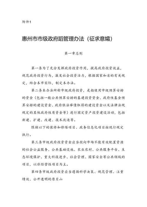 惠州市市级政府投资管理办法（征求意见稿）.docx