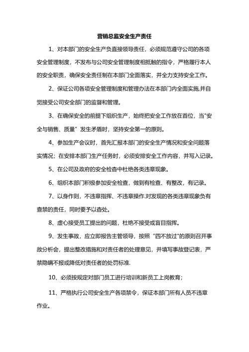 营销总监安全生产责任.docx