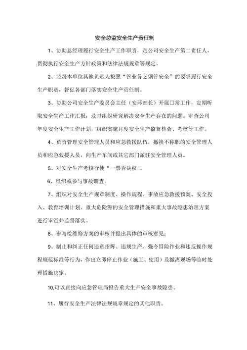 安全总监安全生产责任制.docx