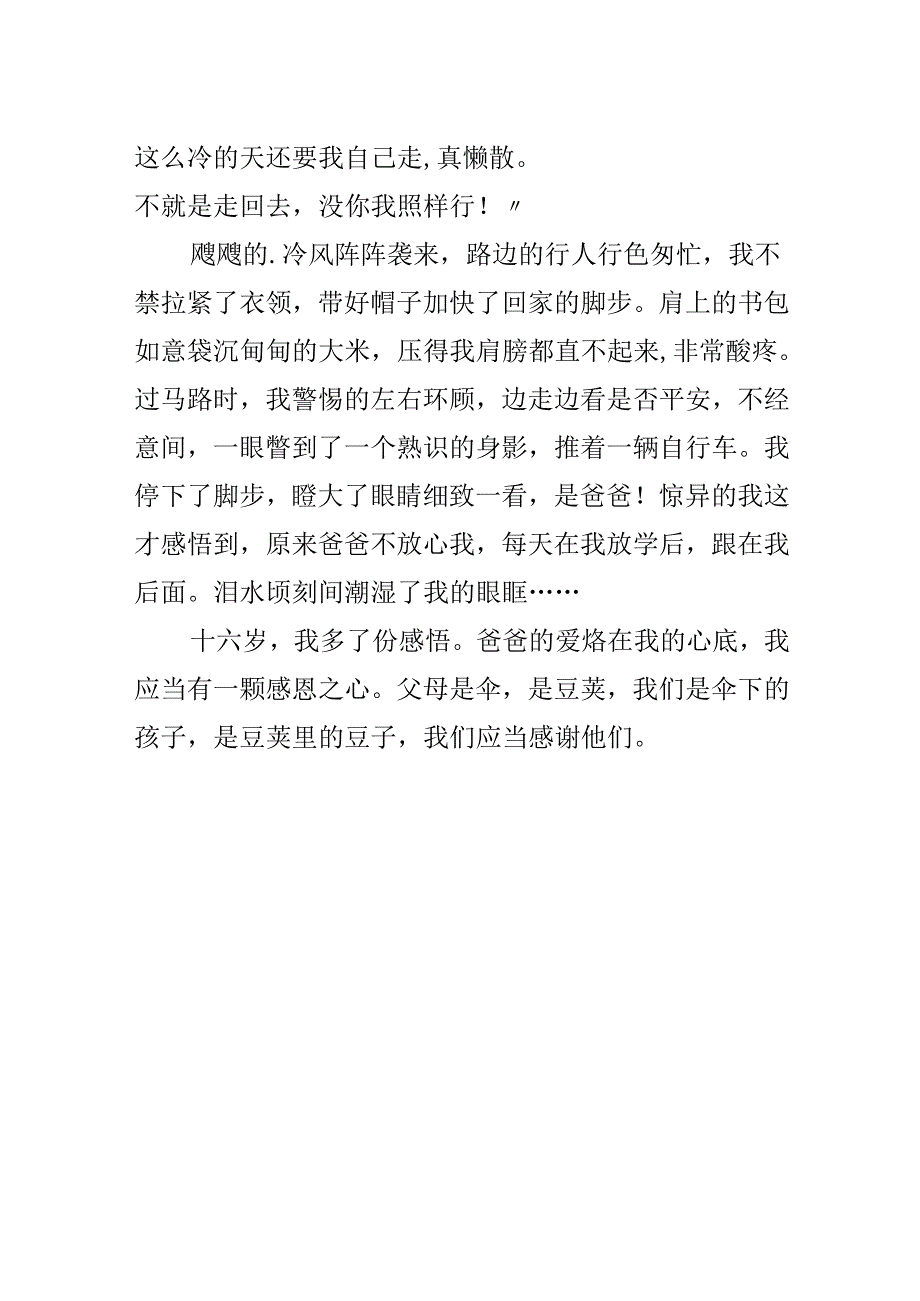 十六岁,我多了一份感悟作文范文.docx_第2页