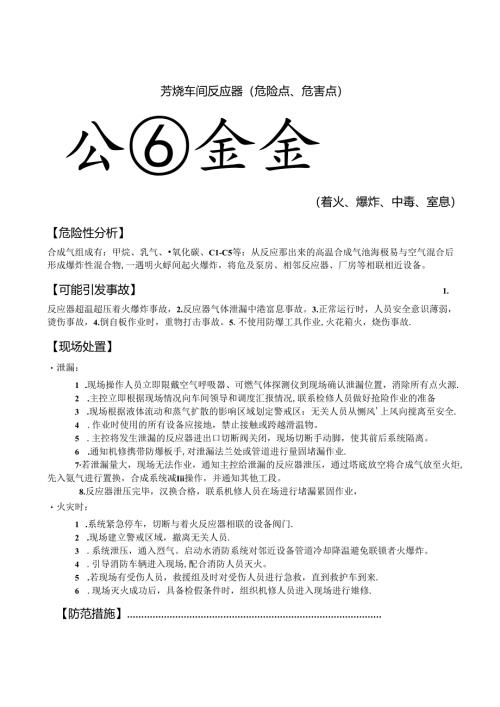 芳烃车间反应器危险点.docx
