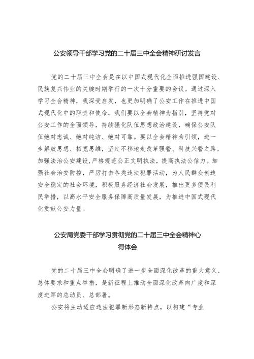 公安领导干部学习党的二十届三中全会精神研讨发言（共8篇）.docx