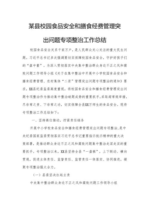 某县校园食品安全和膳食经费管理突出问题专项整治工作总结.docx
