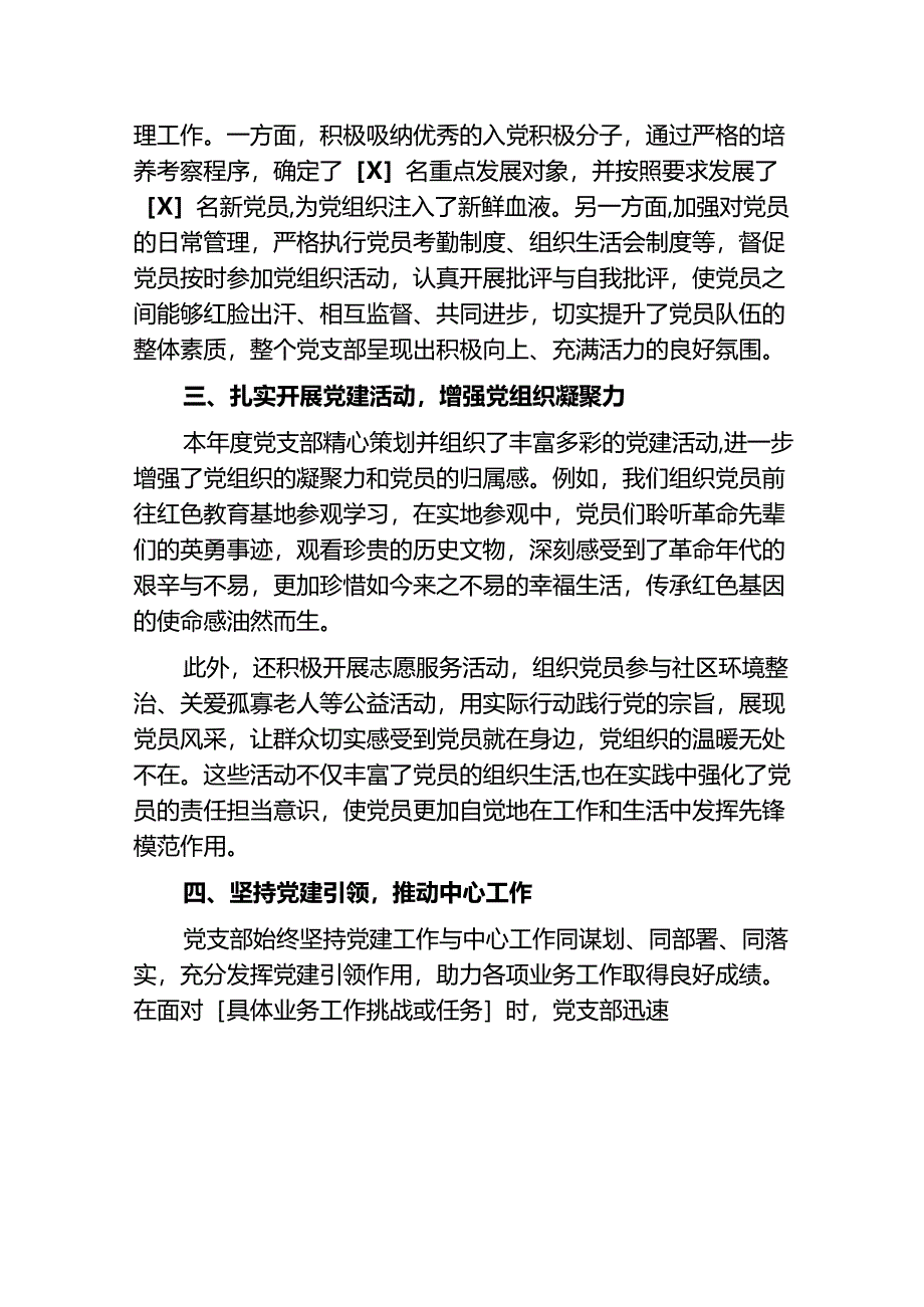 2024党支部工作总结（最新版）.docx_第2页