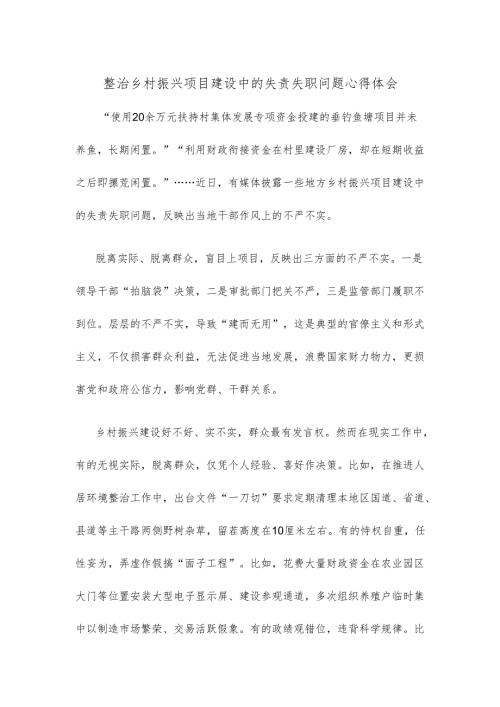整治乡村振兴项目建设中的失责失职问题心得体会.docx