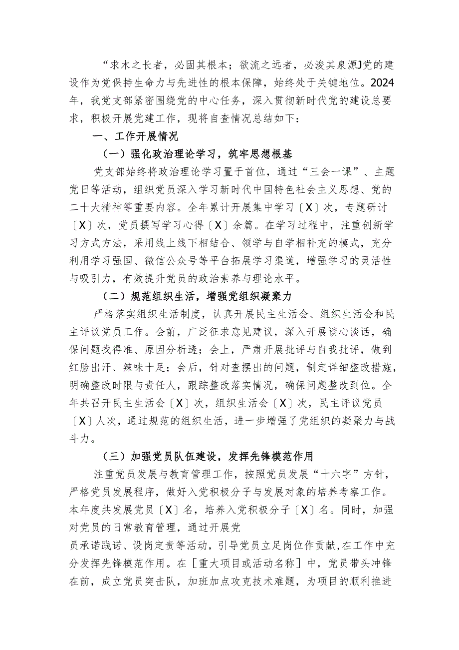 2024党支部党建工作自查总结报告【详细版】.docx_第2页
